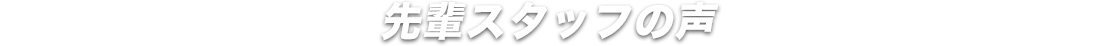 先輩スタッフの声