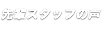 先輩スタッフの声